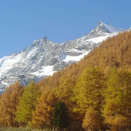 Amici Apartamento *
